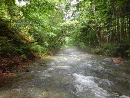 増水の渓でミノーイング